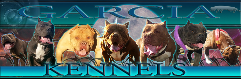 best pitbull kennels