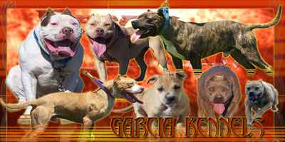 GARCIA KENNELS Quality not Quantity
